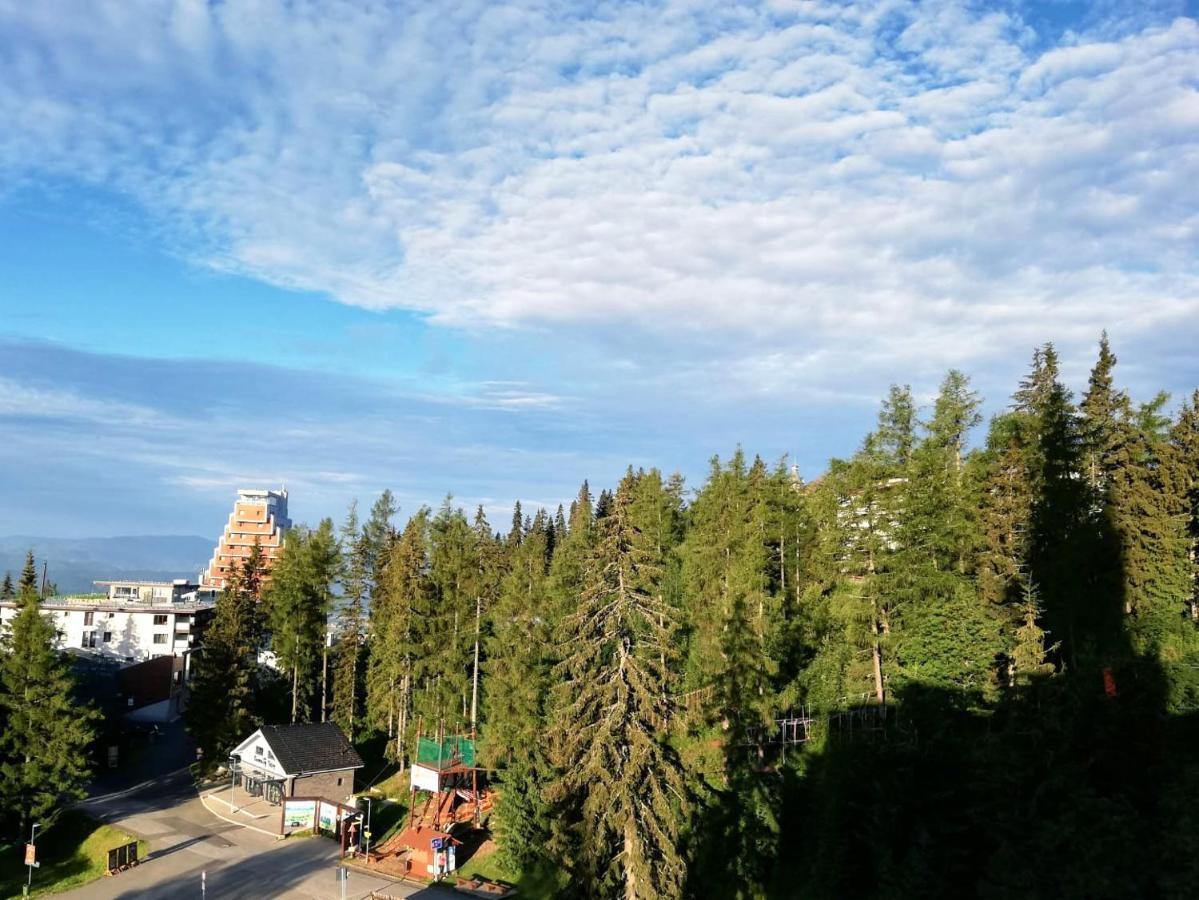Oliver #40 * Strbske Pleso